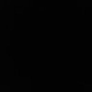 Meet your Posher, Sean